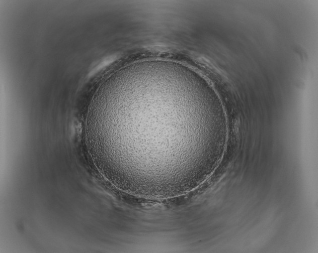 X0000112761302200908271611