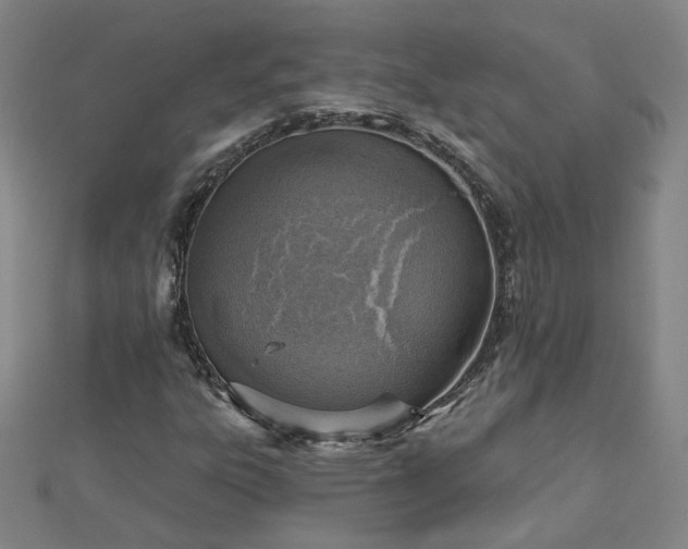 X0000112761303200908271611