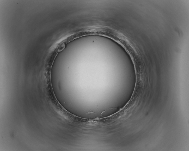 X0000112761304200908271611