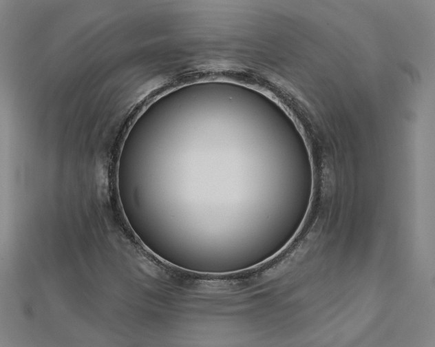 X0000112761305200908271611