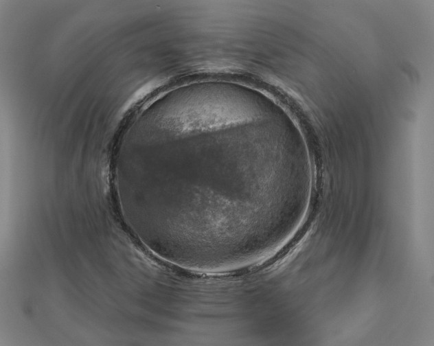 X0000112761306200908271611