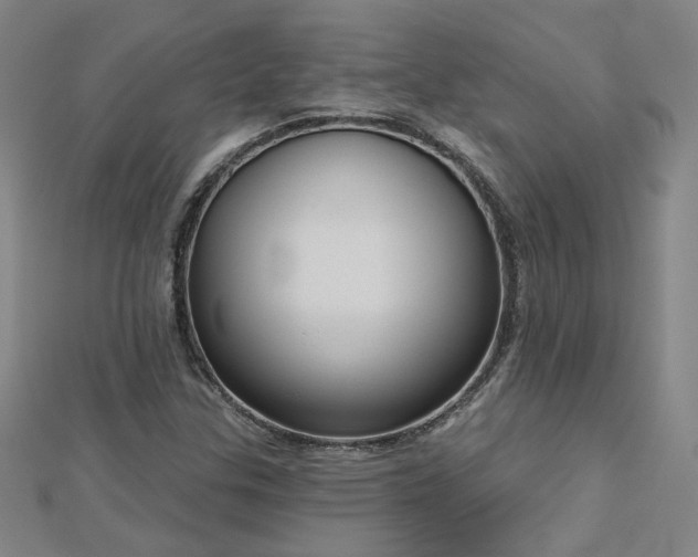 X0000112761307200908271611
