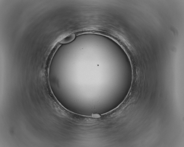 X0000112761308200908271611