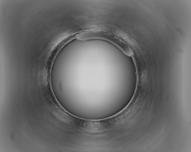 X0000112761310200908271611