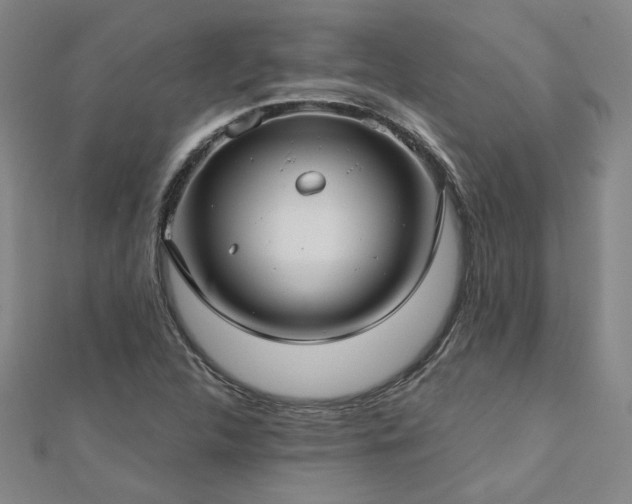 X0000112761312200908271611