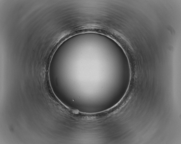X0000112761313200908271611