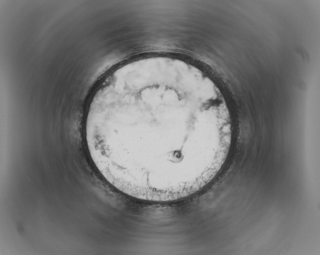 X0000112761314200908271611