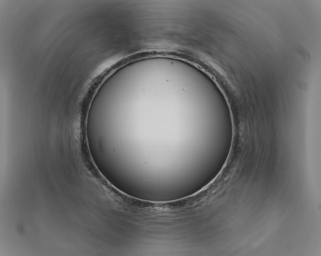 X0000112761315200908271611