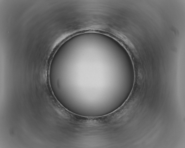 X0000112761316200908271611