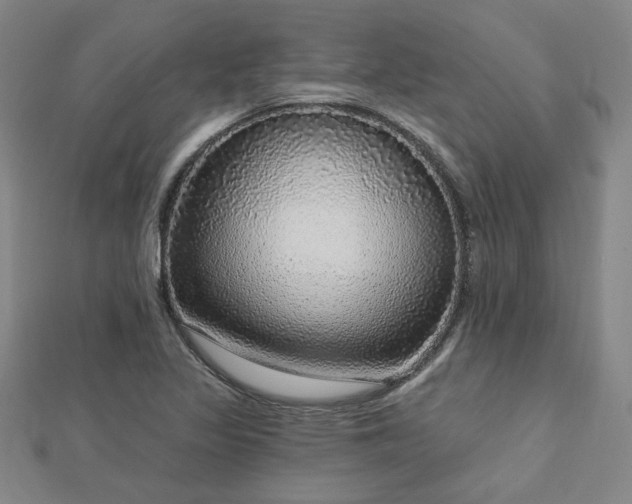 X0000112761317200908271611