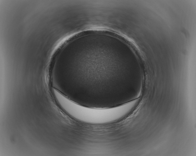 X0000112761319200908271611