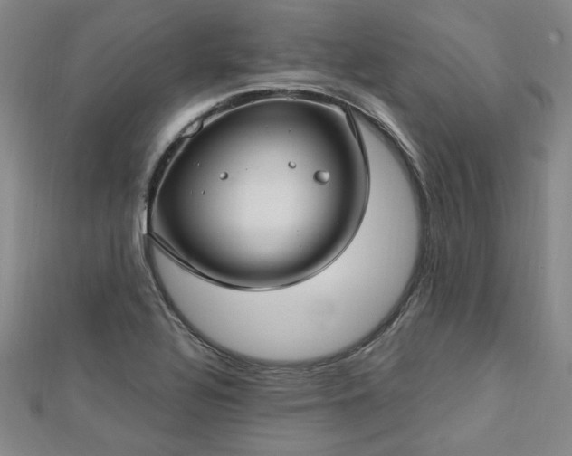 X0000112761320200908271611