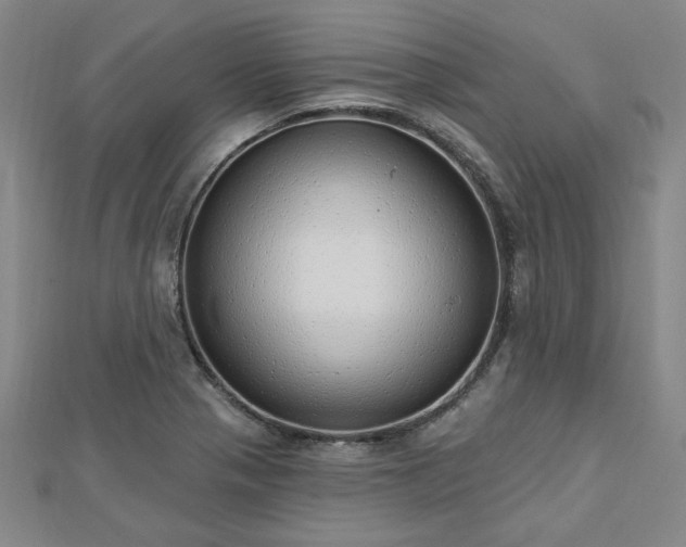 X0000112761321200908271611