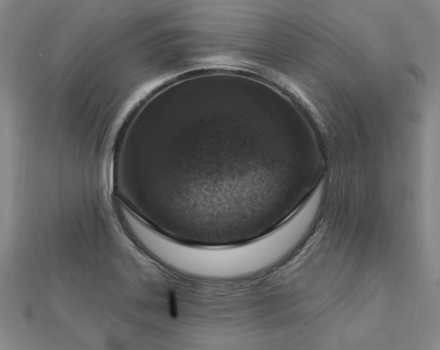 X0000112761323200908271611