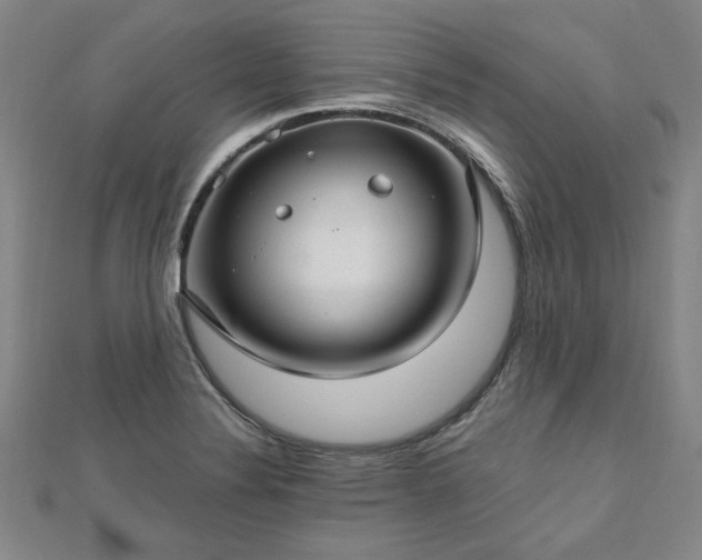 X0000112761324200908271611