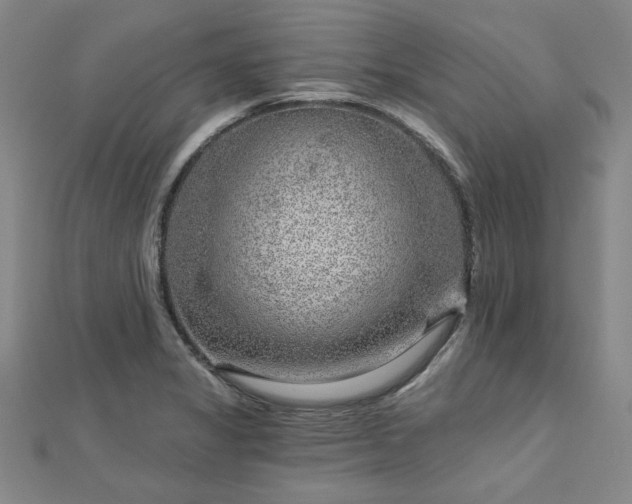 X0000112761325200908271611