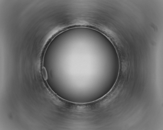 X0000112761326200908271611
