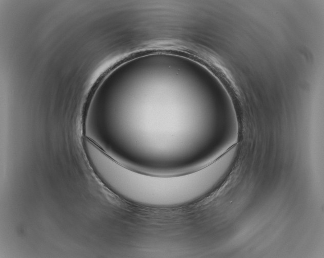 X0000112761328200908271611