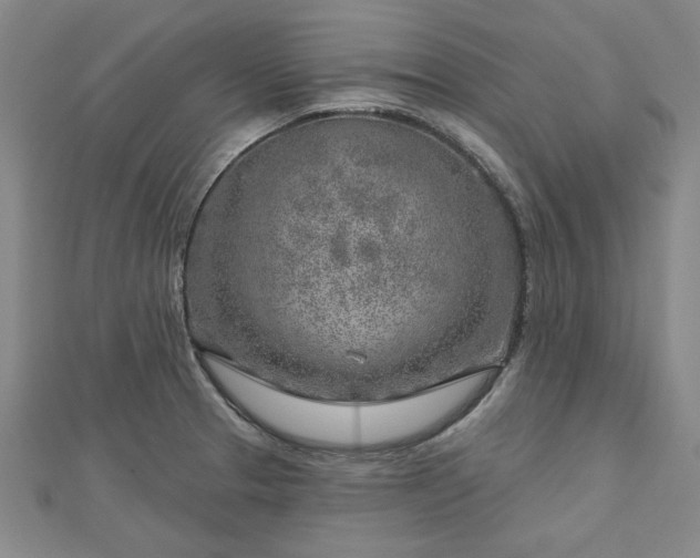 X0000112761329200908271611