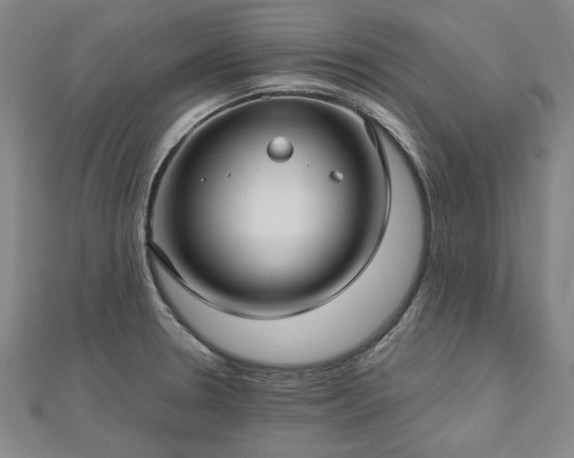 X0000112761330200908271611