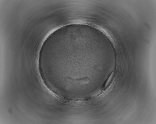 X0000112761331200908271611