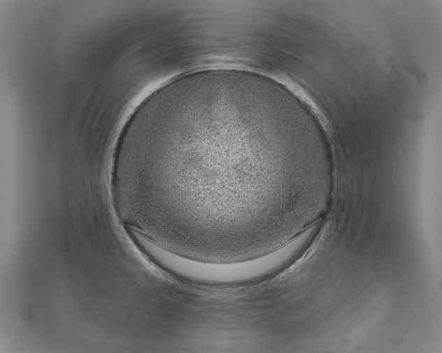 X0000112761333200908271611