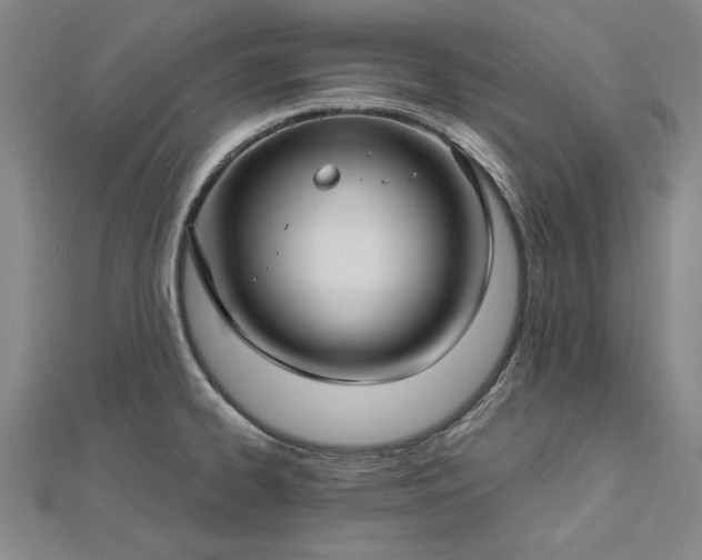 X0000112761334200908271611