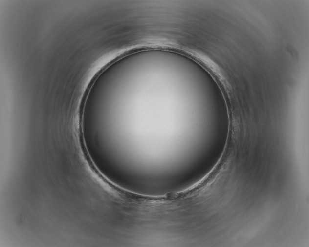 X0000112761335200908271611