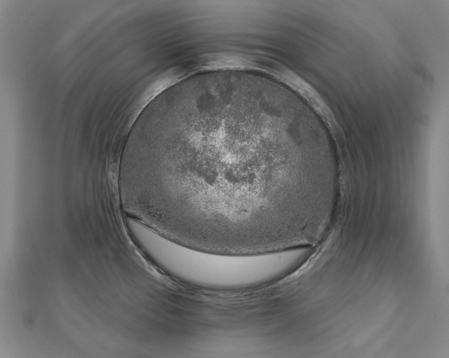 X0000112761337200908271611