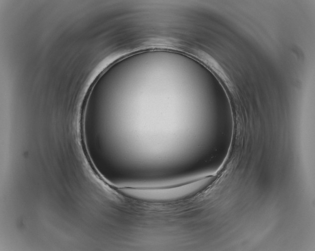 X0000112761339200908271611