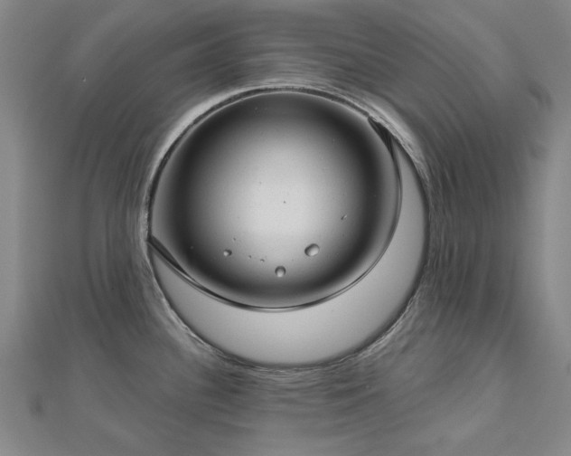 X0000112761340200908271611