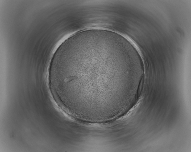 X0000112761341200908271611