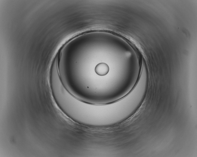 X0000112761342200908271611