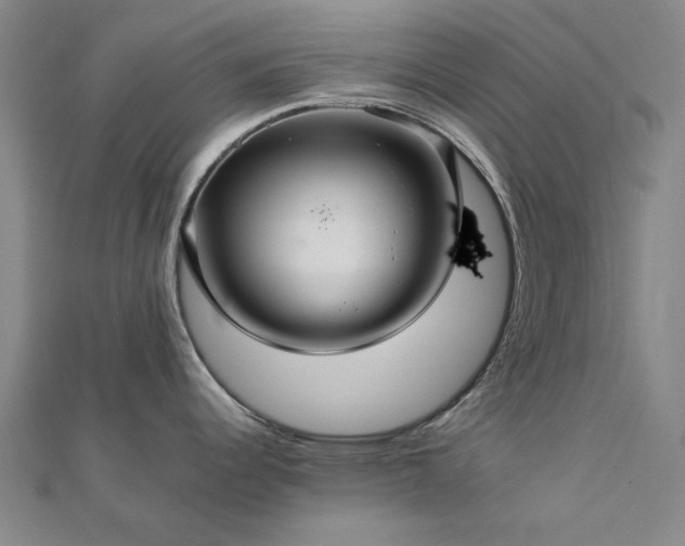 X0000112761344200908271611