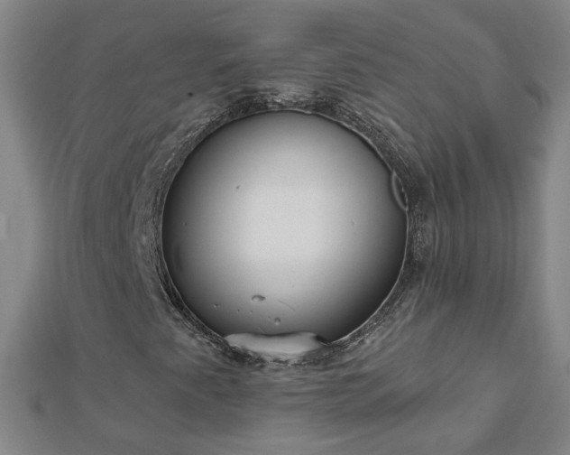 X0000112761345200908271610