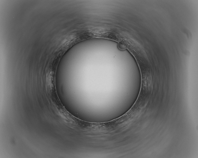 X0000112761346200908271610