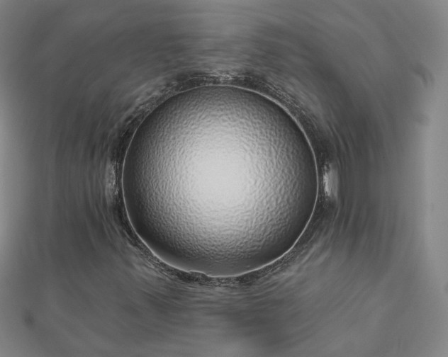 X0000112761347200908271610