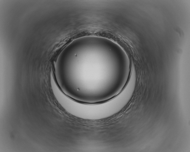 X0000112761349200908271610