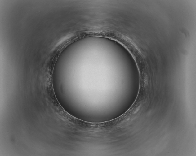 X0000112761350200908271610
