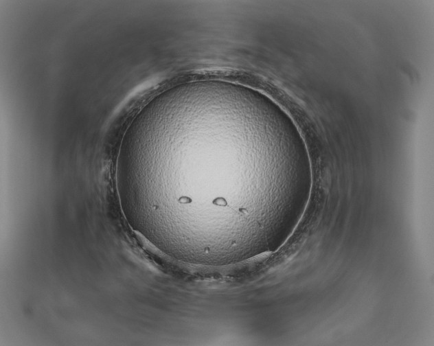 X0000112761351200908271610
