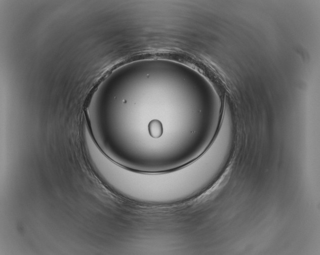 X0000112761353200908271610