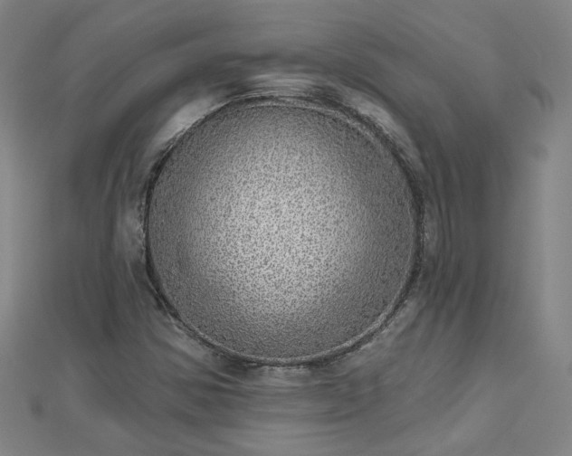 X0000112761354200908271610