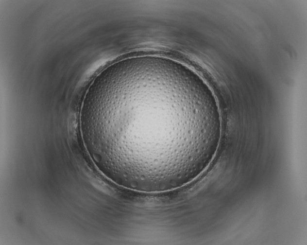 X0000112761355200908271610
