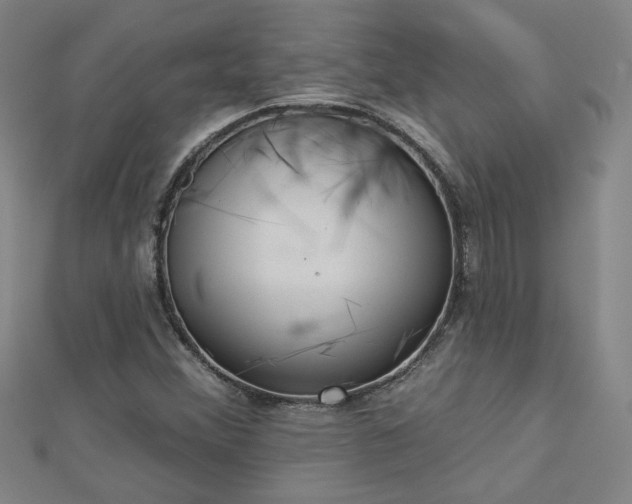 X0000112761356200908271610