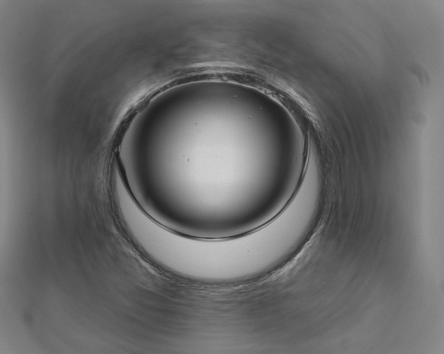 X0000112761357200908271610