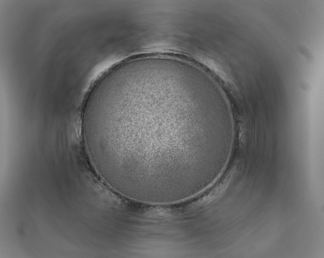 X0000112761358200908271610