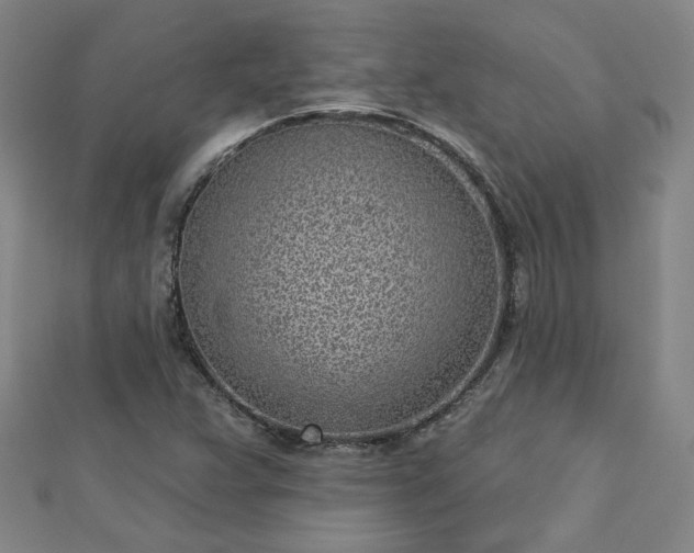 X0000112761359200908271610