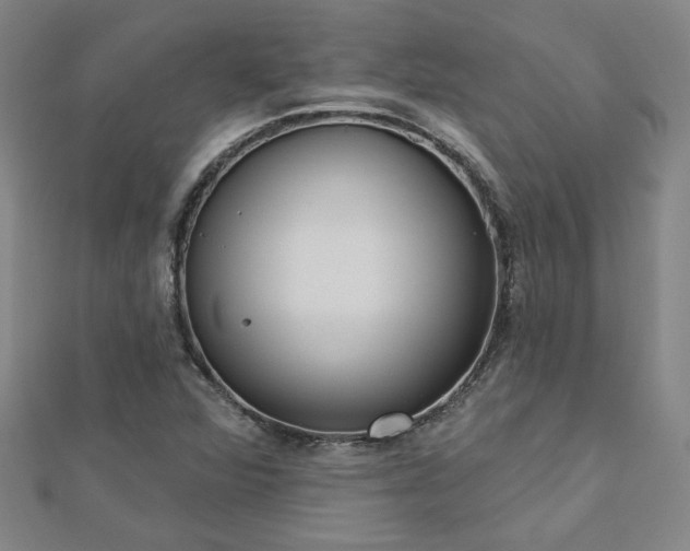 X0000112761360200908271610