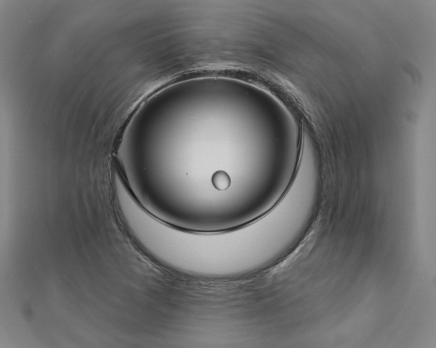 X0000112761361200908271610