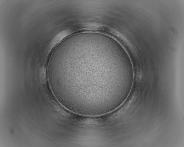 X0000112761362200908271610